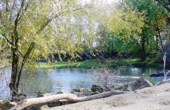 Center Creek in Sarcoxie, MO