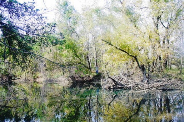 Center Creek in Sarcoxie, MO