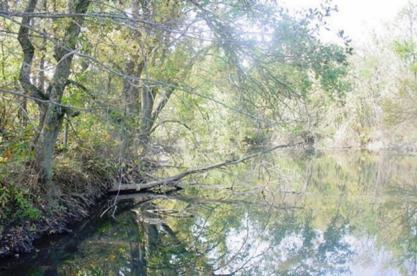 Center Creek in Sarcoxie, MO