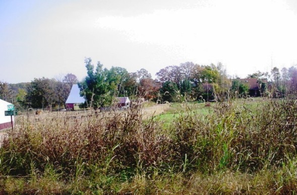 Farm and Barns in Sarcoxie, MO