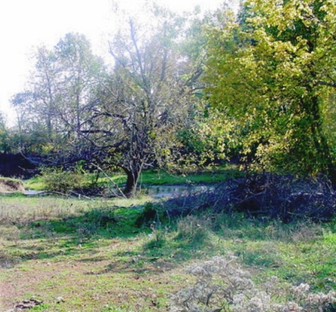 Farm Land and Creek in Sarcoxie, MO