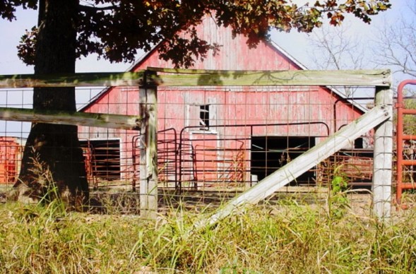 Barn on the Farm in Sarcoxie, MO