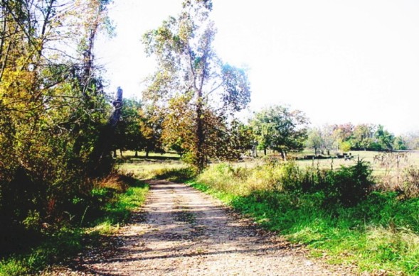 Road in Sarcoxie, MO