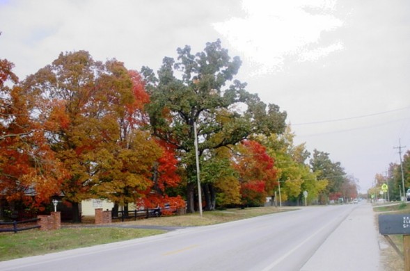 Road in Sarcoxie, MO