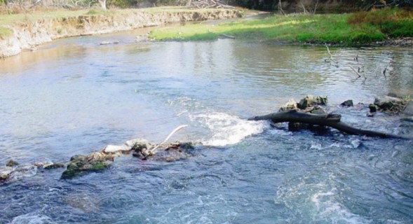 Center Creek in Sarcoxie, MO