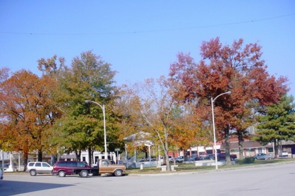 square_2.jpg (94024 bytes)