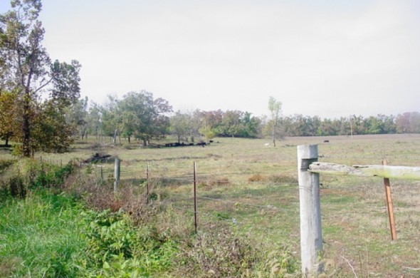 Farm Land in Sarcoxie, MO